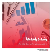 سهام-گزارش درآمدی تملت در دی ماه ۱۴۰۳