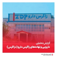 گزارش‌ تحلیلی-رشد فروش صادراتی "دزاگرس"